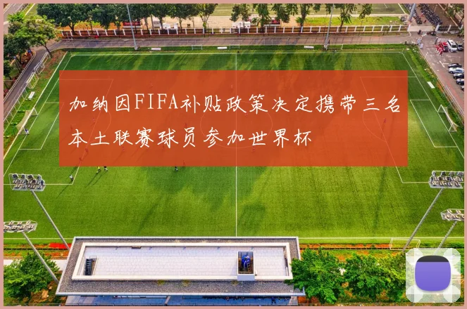 加纳因FIFA补贴政策决定携带三名本土联赛球员参加世界杯