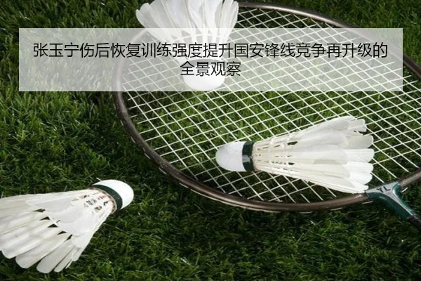 张玉宁伤后恢复训练强度提升国安锋线竞争再升级的全景观察 | hth